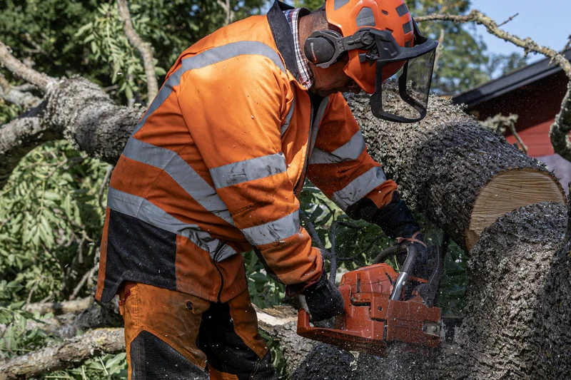 Worker in orange safety gear cutting a fallen tree into sections on the grass